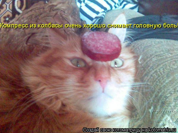 Компресс из колбасы очень хорошо снимает головную боль!... Котоматрица: Компресс из колбасы очень хорошо снимает головную боль!