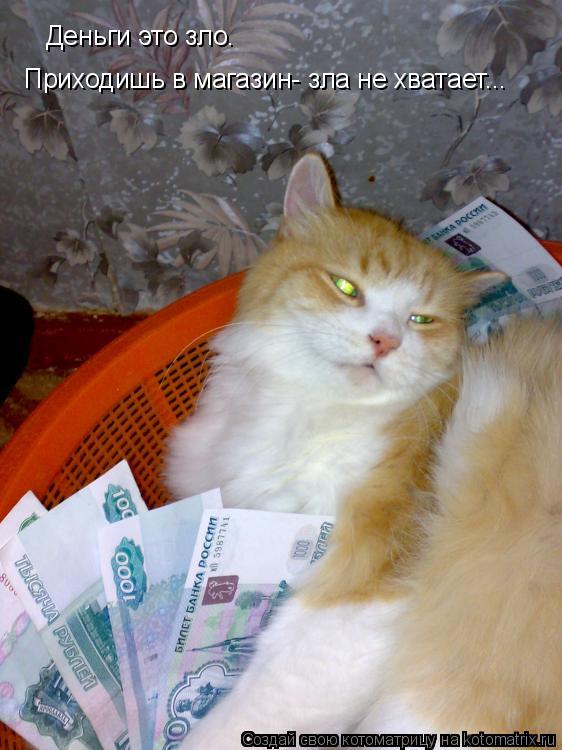 Деньги это зло. Приходишь в магазин- зла не хватает...... Котоматрица: Деньги это зло. Приходишь в магазин- зла не хватает...