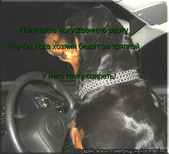 Покупайте искуственную рвоту Что-бы пока хозяин бежит за тряпкой У него тачку спиреть!... Котоматрица: Покупайте искуственную рвоту Что-бы пока хозяин бежит за тряпкой У него тачку спиреть!