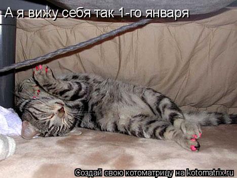 А я вижу себя так 1-го января... Котоматрица: А я вижу себя так 1-го января