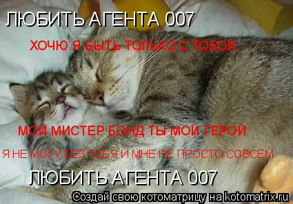 ЛЮБИТЬ АГЕНТА 007 ХОЧЮ Я БЫТЬ ТОЛЬКО С ТОБОЙ МОЙ МИСТЕР БОНД ТЫ МОЙ ГЕРОЙ Я НЕ МОГУ БЕЗ ТЕБЯ И МНЕ НЕ... Котоматрица: ЛЮБИТЬ АГЕНТА 007 ХОЧЮ Я БЫТЬ ТОЛЬКО С ТОБОЙ МОЙ МИСТЕР БОНД ТЫ МОЙ ГЕРОЙ Я НЕ МОГУ БЕЗ ТЕБЯ И МНЕ НЕ ПРОСТО СОВСЕМ ЛЮБИТЬ АГЕНТА 007