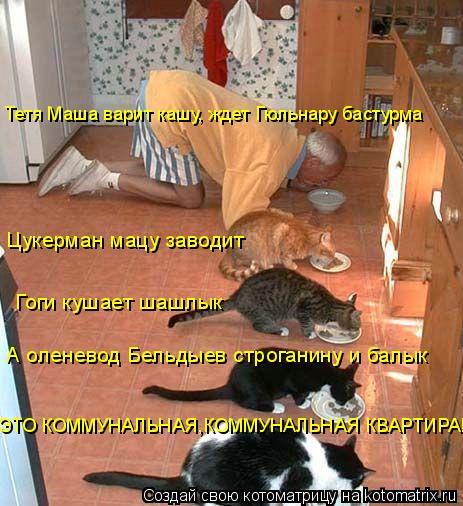 Котоматрица: Тетя Маша варит кашу, ждет Гюльнару бастурма Цукерман мацу заводит Гоги кушает шашлык А оленевод Бельдыев строганину и балык ЭТО КОММУНАЛЬ