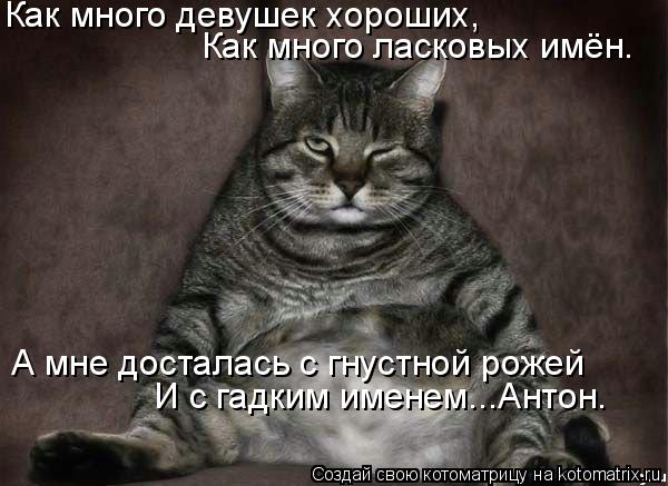 Как много девушек хороших, Как много ласковых имён. А мне досталась с гнустной рожей И с гадким имене... Котоматрица: Как много девушек хороших, Как много ласковых имён. А мне досталась с гнустной рожей И с гадким именем...Антон.