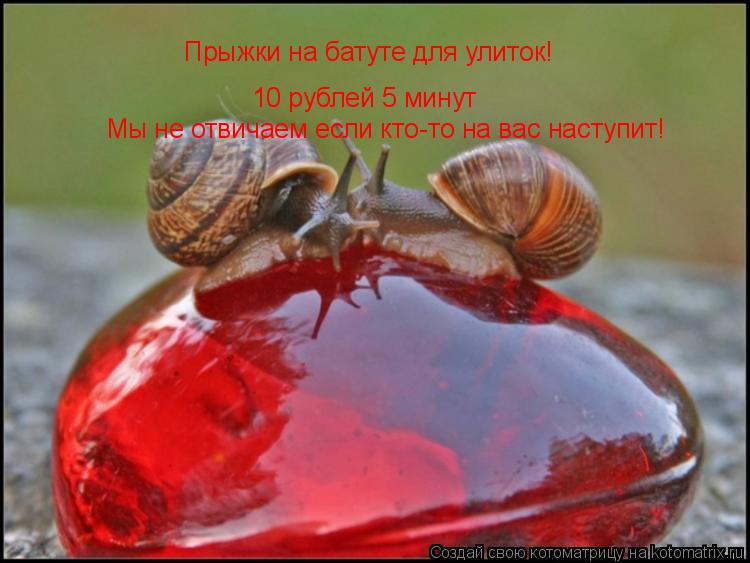 Прыжки на батуте для улиток! 10 рублей 5 минут Мы не отвичаем если кто-то на вас наступит!... Котоматрица: Прыжки на батуте для улиток! 10 рублей 5 минут Мы не отвичаем если кто-то на вас наступит!