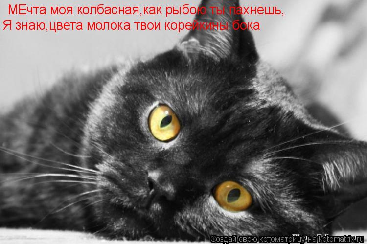 МЕчта моя колбасная,как рыбою ты пахнешь, Я знаю,цвета молока твои корейкины бока... Котоматрица: МЕчта моя колбасная,как рыбою ты пахнешь, Я знаю,цвета молока твои корейкины бока