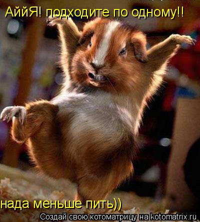АййЯ! подходите по одному!! нада меньше пить))... Котоматрица: АййЯ! подходите по одному!! нада меньше пить))