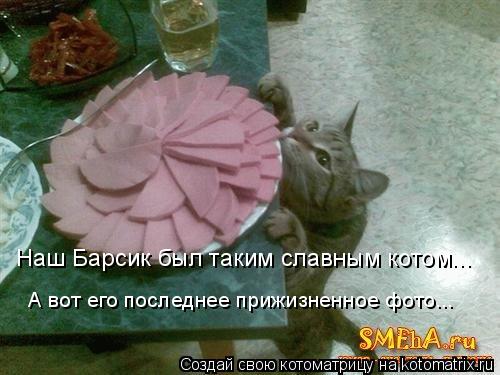Наш Барсик был таким славным котом... А вот его последнее прижизненное фото...... Котоматрица: Наш Барсик был таким славным котом... А вот его последнее прижизненное фото...