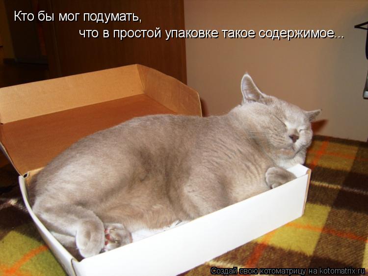 Котоматрица: Кто бы мог подумать,  что в простой упаковке такое содержимое...