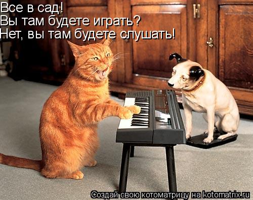 Все в сад! Вы там будете играть? Нет, вы там будете слушать!... Котоматрица: Все в сад! Вы там будете играть? Нет, вы там будете слушать!
