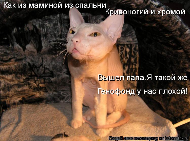 Как из маминой из спальни Кривоногий и хромой Вышел папа.Я такой же Генофонд у нас плохой!... Котоматрица: Как из маминой из спальни Кривоногий и хромой Вышел папа.Я такой же Генофонд у нас плохой!
