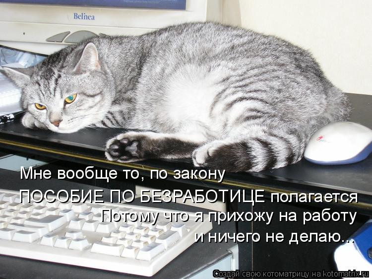 Котоматрица: Мне вообще то, по закону  ПОСОБИЕ ПО БЕЗРАБОТИЦЕ полагается Потому что я прихожу на работу  и ничего не делаю...
