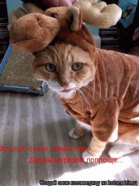 Хорошо скоро новый год - Дедом морозом попроще...... Котоматрица: Хорошо скоро новый год - Дедом морозом попроще...