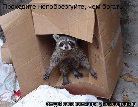 Проходите непобрезгуйте, чем богаты...... Котоматрица: Проходите непобрезгуйте, чем богаты...