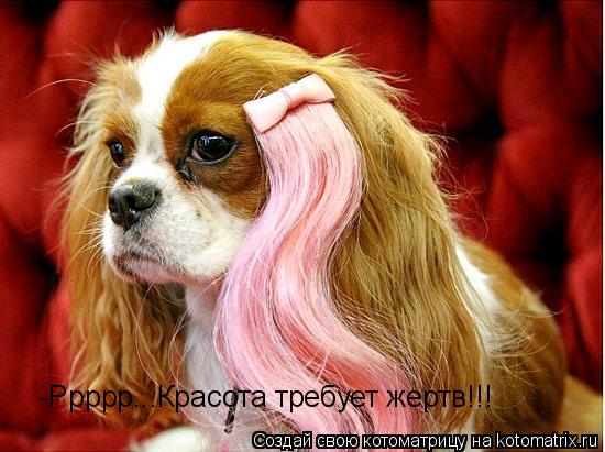-Ррррр...Красота требует жертв!!!... Котоматрица: -Ррррр...Красота требует жертв!!!