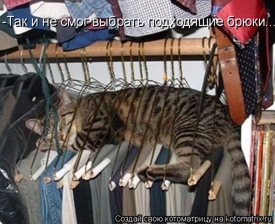 -Так и не смог выбрать подходящие брюки....... Котоматрица: -Так и не смог выбрать подходящие брюки....