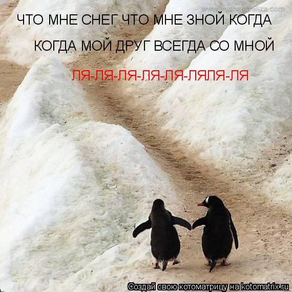 ЧТО МНЕ СНЕГ ЧТО МНЕ ЗНОЙ КОГДА КОГДА МОЙ ДРУГ ВСЕГДА СО МНОЙ ЛЯ-ЛЯ-ЛЯ-ЛЯ-ЛЯ-ЛЯЛЯ-ЛЯ... Котоматрица: ЧТО МНЕ СНЕГ ЧТО МНЕ ЗНОЙ КОГДА КОГДА МОЙ ДРУГ ВСЕГДА СО МНОЙ ЛЯ-ЛЯ-ЛЯ-ЛЯ-ЛЯ-ЛЯЛЯ-ЛЯ