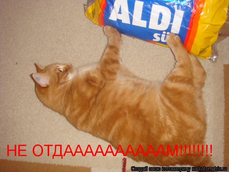 Котоматрица: НЕ ОТДААААААААААМ!!!!!!!!