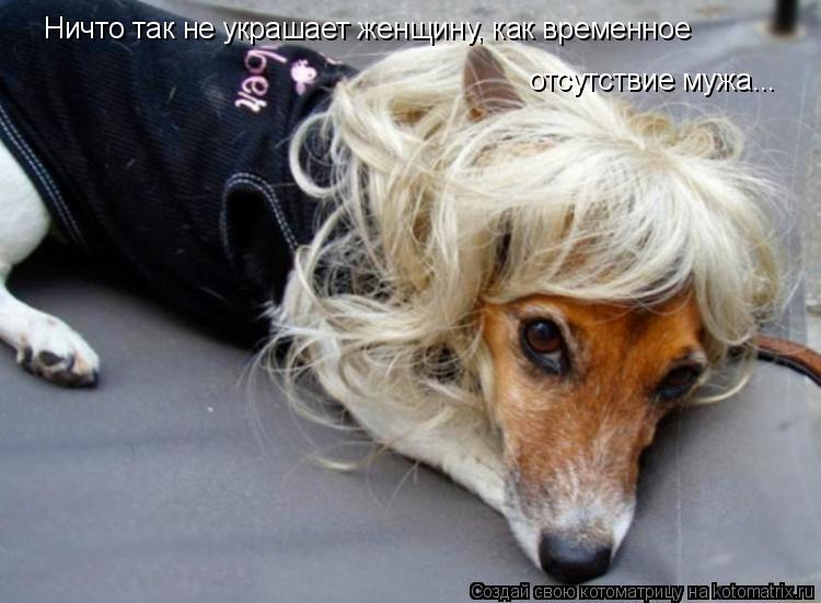Ничто так не украшает женщину, как временное отсутствие мужа...... Котоматрица: Ничто так не украшает женщину, как временное отсутствие мужа...