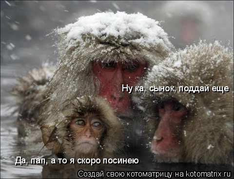 Да, пап, а то я скоро посинею Ну ка, сынок, поддай еще... Котоматрица: Да, пап, а то я скоро посинею Ну ка, сынок, поддай еще