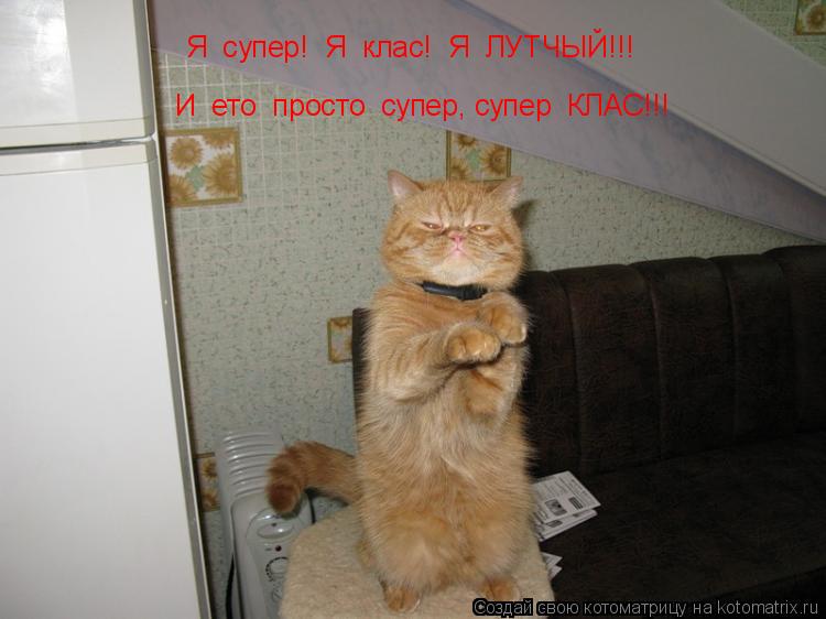 Я супер! Я клас! Я ЛУТЧЫЙ!!! И ето просто супер, супер КЛАС!!!... Котоматрица: Я супер! Я клас! Я ЛУТЧЫЙ!!! И ето просто супер, супер КЛАС!!!
