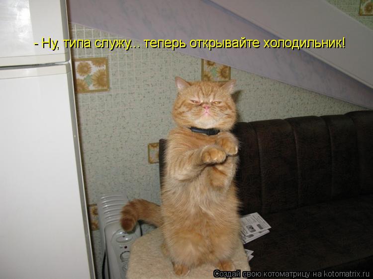 - Ну, типа служу... теперь открывайте холодильник!... Котоматрица: - Ну, типа служу... теперь открывайте холодильник!
