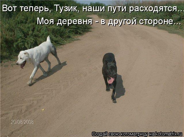 Вот теперь, Тузик, наши пути расходятся... Моя деревня - в другой стороне...... Котоматрица: Вот теперь, Тузик, наши пути расходятся... Моя деревня - в другой стороне...