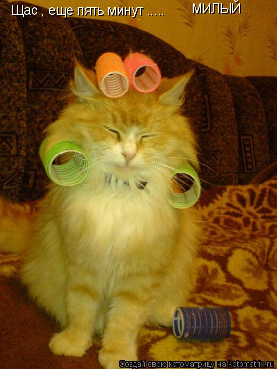 Щас , еще пять минут ..... Щас , еще пять минут ..... МИЛЫЙ... Котоматрица: Щас , еще пять минут ..... Щас , еще пять минут ..... МИЛЫЙ