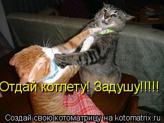 Котоматрица: Отдай котлету! Задушу!!!!!