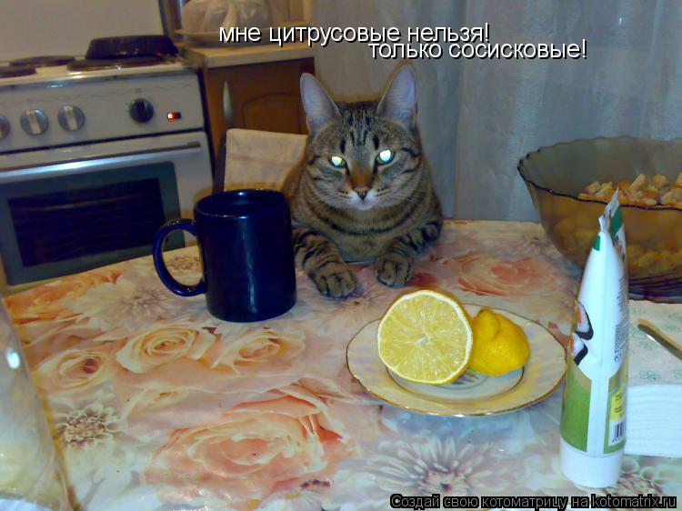 Котоматрица: мне цитрусовые нельзя! только сосисковые!