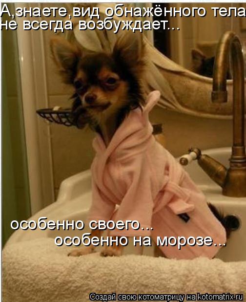 А,знаете,вид обнажённого тела не всегда возбуждает... особенно своего... особенно на морозе...... Котоматрица: А,знаете,вид обнажённого тела не всегда возбуждает... особенно своего... особенно на морозе...