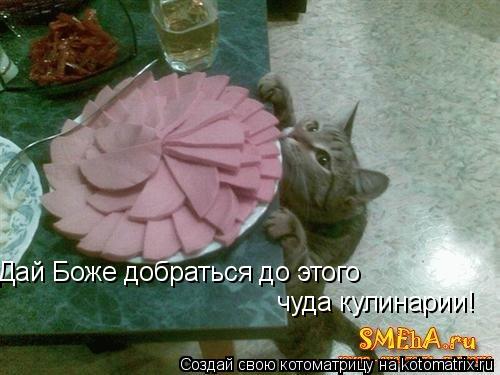 Дай Боже добраться до этого чуда кулинарии!... Котоматрица: Дай Боже добраться до этого чуда кулинарии!