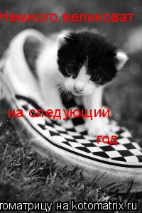 Котоматрица: Немного великоват на следующий год