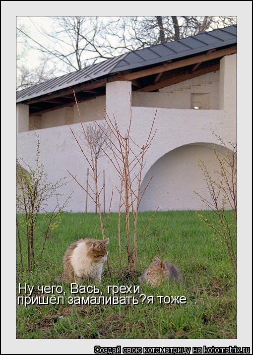 Ну чего, Вась, грехи пришёл замаливать? я тоже...... Котоматрица: Ну чего, Вась, грехи пришёл замаливать? я тоже...