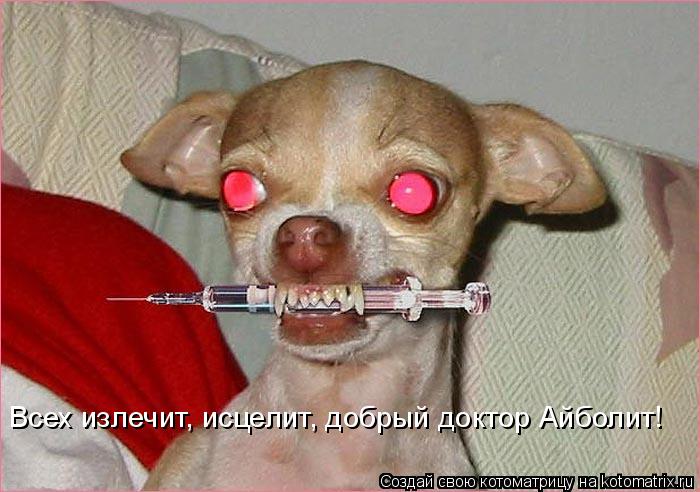 Всех излечит, исцелит, добрый доктор Айболит!... Котоматрица: Всех излечит, исцелит, добрый доктор Айболит!