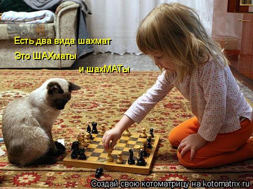 Есть два вида шахмат Это ШАХматы и шахМАТы... Котоматрица: Есть два вида шахмат Это ШАХматы и шахМАТы