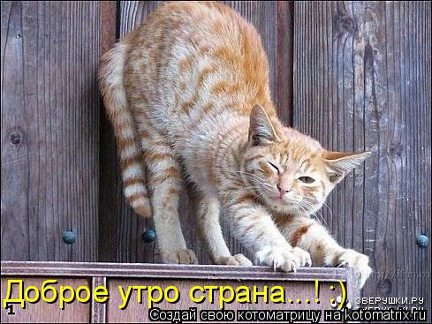 Доброе утро страна...! :)... Котоматрица: Доброе утро страна...! :)