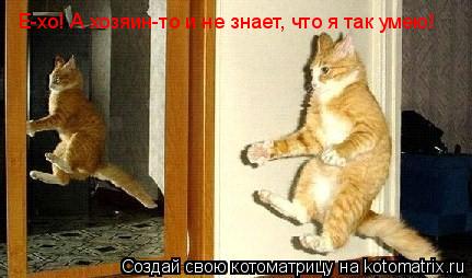 Е-хо! А хозяин-то и не знает, что я так умею!... Котоматрица: Е-хо! А хозяин-то и не знает, что я так умею!