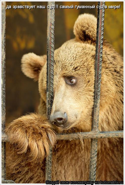 да зравствует наш суд!!! самый гуманный суд в мире!... Котоматрица: да зравствует наш суд!!! самый гуманный суд в мире!