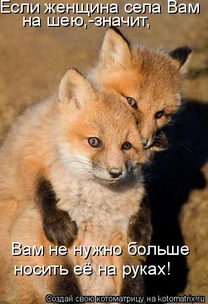 Котоматрица: Если женщина села Вам на шею,-значит, Вам не нужно больше  носить её на руках!