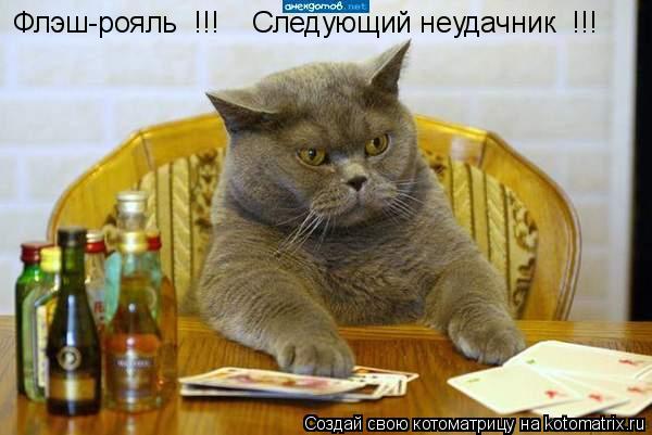 Флэш-рояль !!! Следующий неудачник !!!... Котоматрица: Флэш-рояль !!! Следующий неудачник !!!