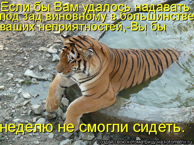 Если бы Вам удалось надавать под зад виновному в большинстве ваших неприятностей,-Вы бы неделю не см... Котоматрица: Если бы Вам удалось надавать под зад виновному в большинстве ваших неприятностей,-Вы бы неделю не смогли сидеть.