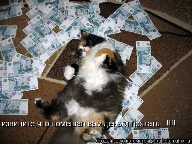 Котоматрица: извините,что помешал вам деньги прятать...!!!!