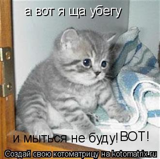 Котоматрица: а вот я ща убегу и мыться не буду! ВОТ!