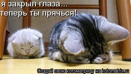 я закрыл глаза... теперь ты прячься!... Котоматрица: я закрыл глаза... теперь ты прячься!