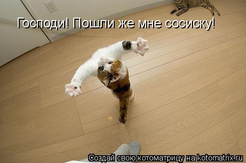 Господи! Пошли же мне сосиску!... Котоматрица: Господи! Пошли же мне сосиску!