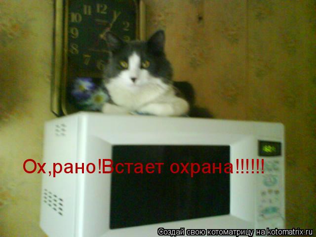 Ох,рано!Встает охрана!!!!!!... Котоматрица: Ох,рано!Встает охрана!!!!!!