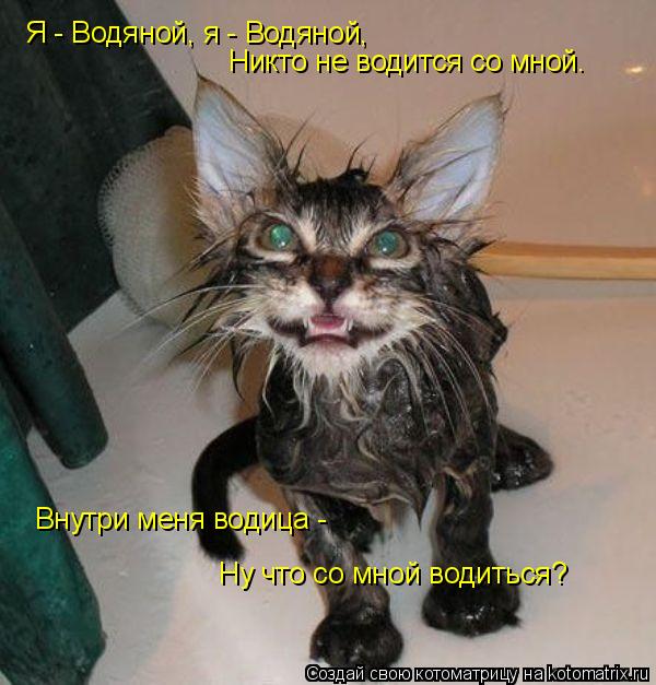 Котоматрица: Я - Водяной, я - Водяной, Никто не водится со мной. Внутри меня водица - Ну что со мной водиться?