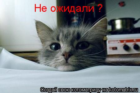 Не ожидали ?... Котоматрица: Не ожидали ?