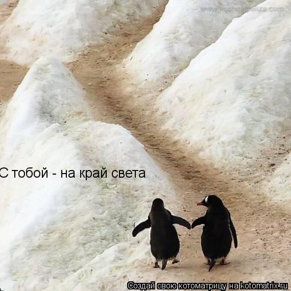С тобой - на край света... Котоматрица: С тобой - на край света