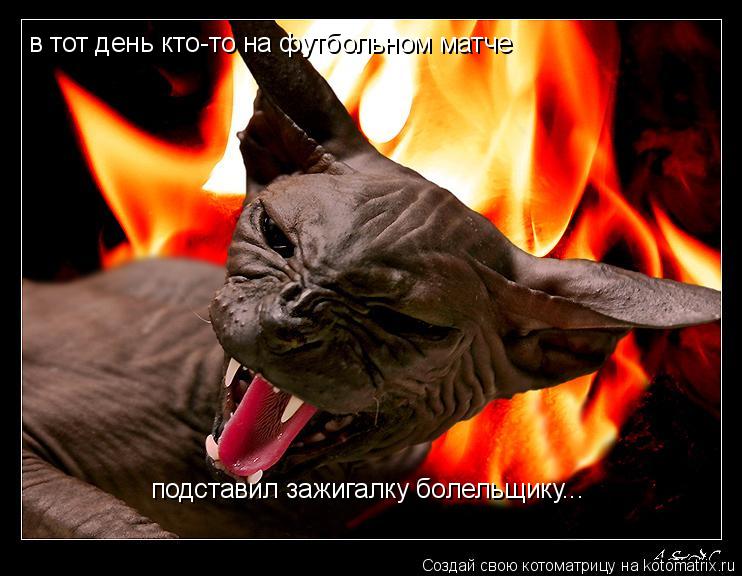 в тот день кто-то на футбольном матче подставил зажигалку болельщику...... Котоматрица: в тот день кто-то на футбольном матче подставил зажигалку болельщику...